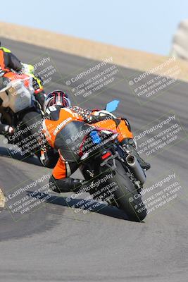 media/Feb-04-2023-SoCal Trackdays (Sat) [[8a776bf2c3]]/Turn 10 Backside (1010am)/